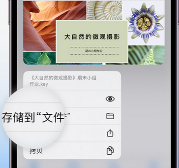 曲周apple维修中心分享iPhone文件应用中存储和找到下载文件