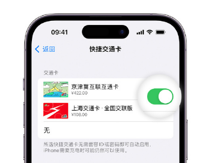 曲周apple维修点分享iPhone上更换Apple Pay快捷交通卡手绘卡面 