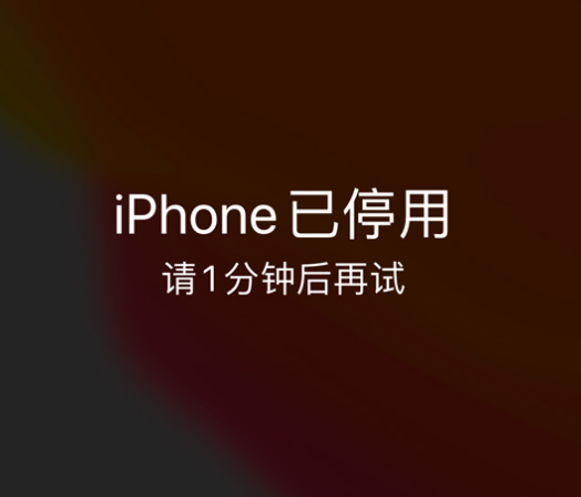 曲周苹果手机维修分享:iPhone 显示“不可用”或“已停用”怎么办？还能保留数据吗？ 