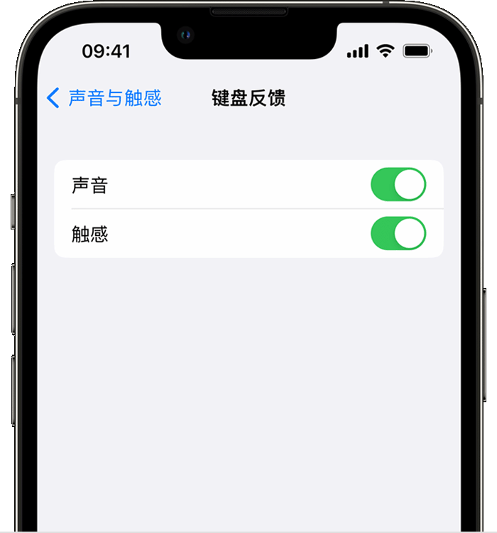 曲周苹果14维修店分享如何在 iPhone 14 机型中使用触感键盘 