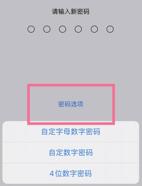 曲周苹果14维修分享iPhone 14plus设置密码的方法 