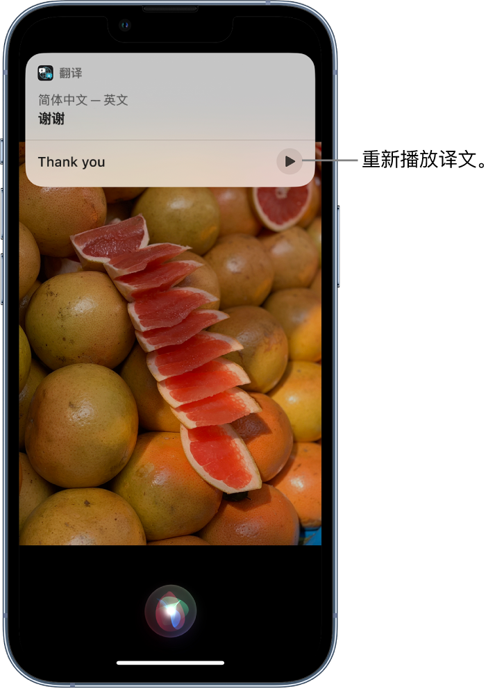 曲周苹果14维修分享 iPhone 14 机型中使用 Siri：了解 Siri 能帮你做什么 