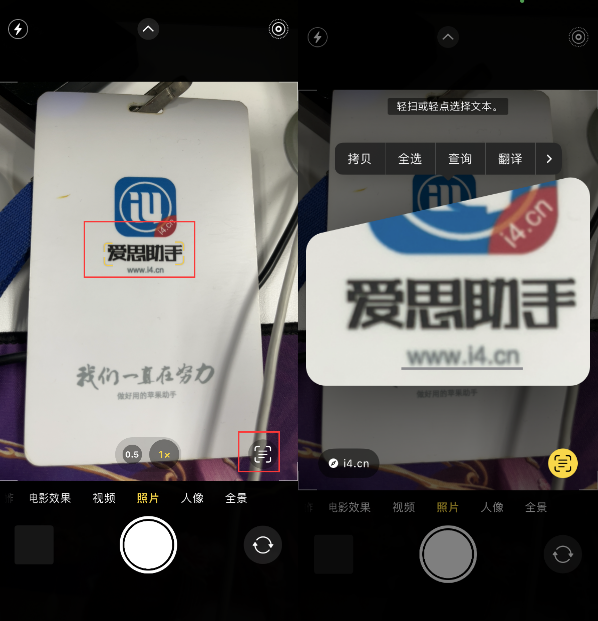 曲周苹果手机维修分享升级iOS 16后如何通过相机翻译文本 