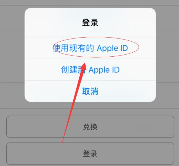 曲周苹果手机维修分享两台iPhone设备可以同时登录一个Apple ID吗 