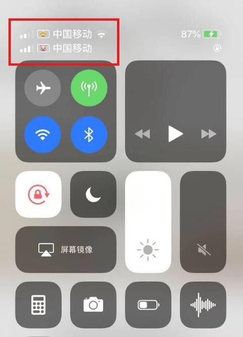 曲周苹果手机维修分享为 iPhone 12 双卡设置标签 
